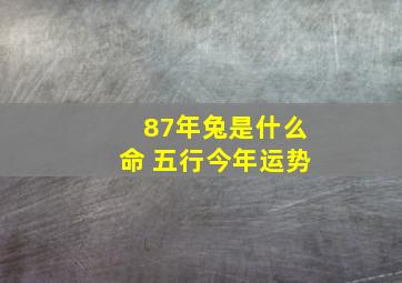 87年兔是什么命 五行今年运势